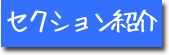 セクション紹介
